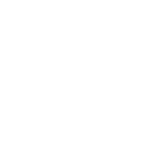 Fraud and Security Protection